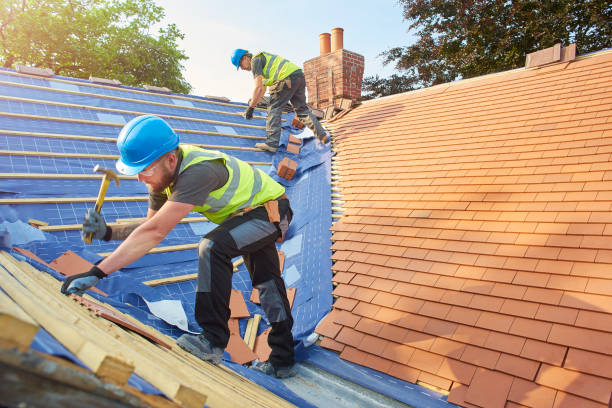 Steel Roofing in Morrison, IL